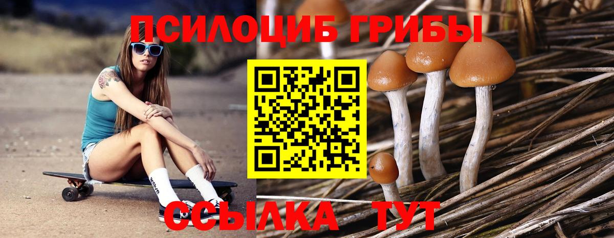 Гурьевск  Псилоцибиновые грибы мухоморы  Вход с VPN 